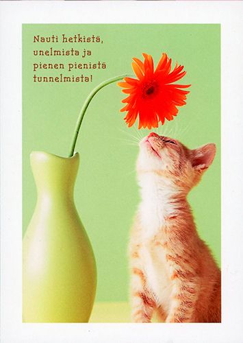 Postikortti eläin