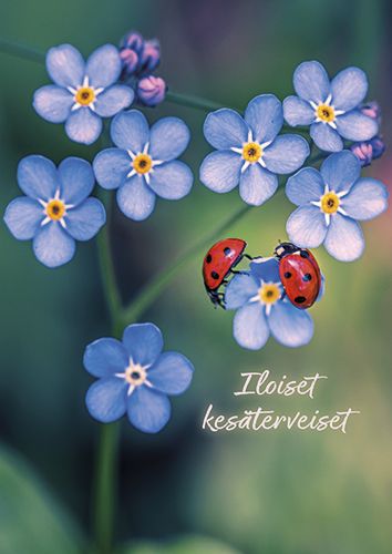 1-os kortti kesä