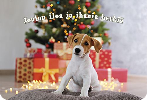 2-osainen joulukortti Muistiliitto postimaksu maksettu