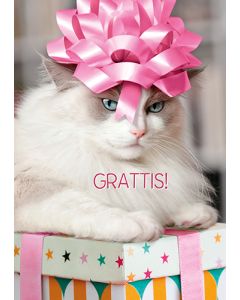 Postikortti hupi ruotsinkielinen