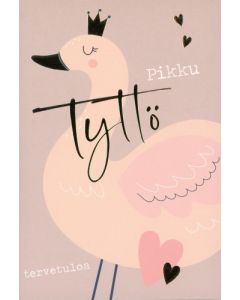 2-osainen vauvaonnittelu tyttö