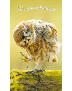 2-osainen hupikortti