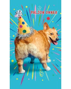 2-osainen hupikortti