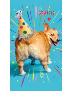 2-osainen hupikortti ruotsinkielinen