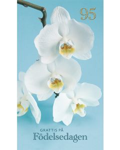 2-osainen onnittelukortti 95v ruotsinkielinen