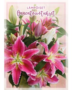 Postikortti onnittelu