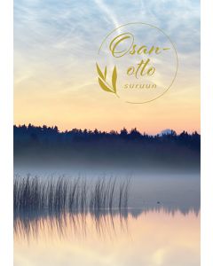 Suruadressi Tyyni Suomen sydänliitto