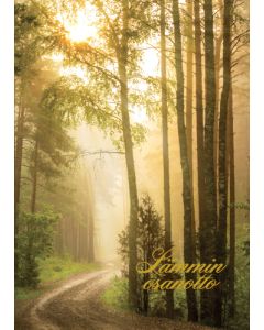 Suruadressi Suomen punainen risti