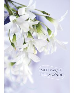 Suruadressi Sylva ruotsinkielinen