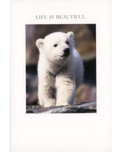 2-osainen kortti englanninkielinen