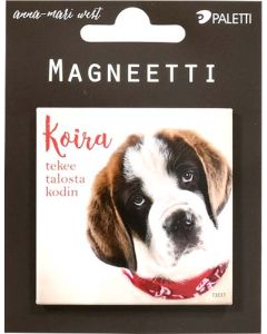 Magneetti