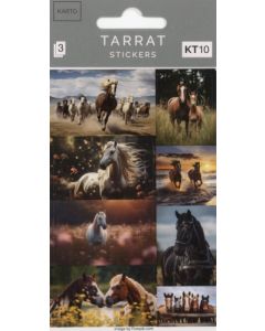 Tarrapakkaus hevoset