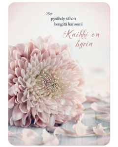 Postikortti Anna-Mari West