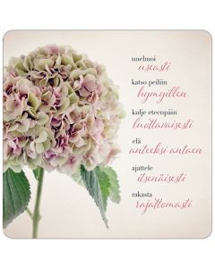 2-osainen neliökortti Anna-Mari West