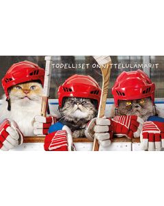 2-osainen hupikortti