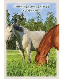 Postikortti hevonen