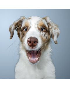 2-osainen neliökortti