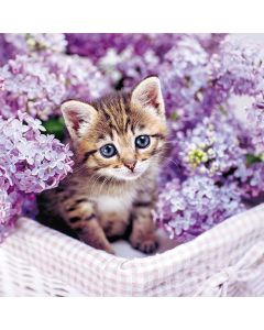 2-osainen neliökortti