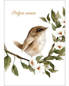 Postikortti Elisa Parto