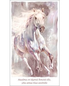 2-osainen kortti Hanna-Maria Mainelakeus