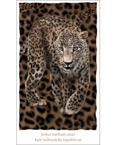 2-osainen kortti Hanna-Maria Mainelakeus