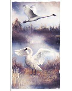 2-osainen kortti Hanna-Maria Mainelakeus