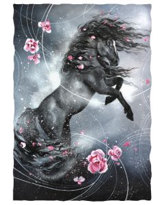 Postikortti Hanna-Maria Mainelakeus