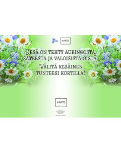 Opaste 55-39cm Kesä suomi-ruotsi