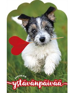 Ystävänpäiväkortti