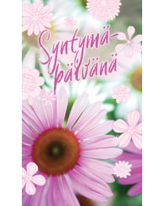 2-osainen syntymäpäiväkortti Hallmark