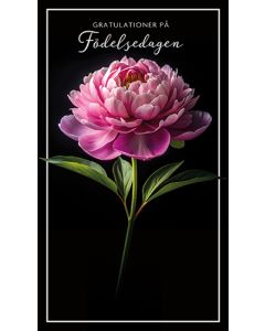 2-osainen syntymäpäiväkortti ruotsinkielinen