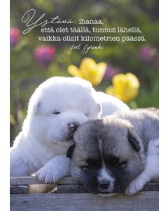 Postikortti Joel Jyrinki