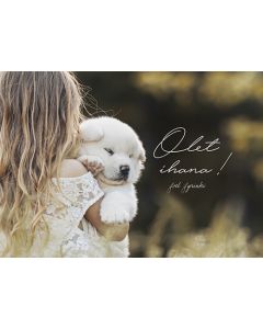 Postikortti Joel Jyrinki