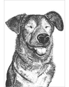 Postikortti Finlayson