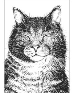 Postikortti Finlayson