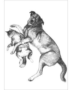 Postikortti Finlayson