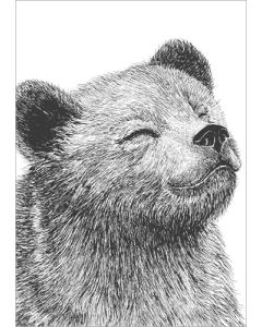 Postikortti Finlayson