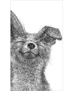 2-osainen kortti Finlayson