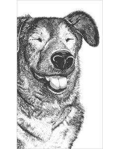 2-osainen kortti Finlayson