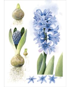 Postikortti Marjolein Bastin