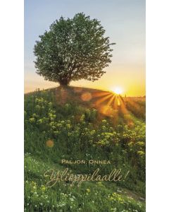 2-osainen ylioppilaskortti