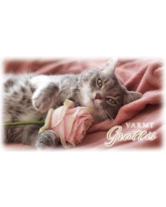 2-os onnittelukortti ruotsinkielinen