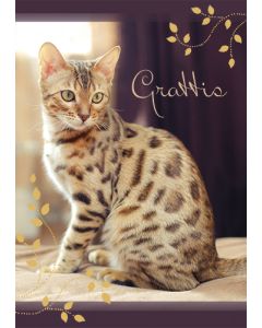 Postikortti kissa ruotsinkielinen