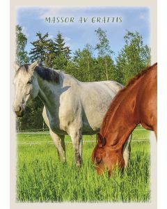 Postikortti hevonen ruotsinkielinen