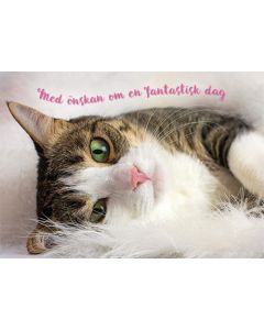 Postikortti kissa ruotsinkielinen