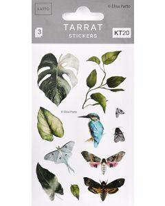 Tarra KT20 Elisa Parto kasvit