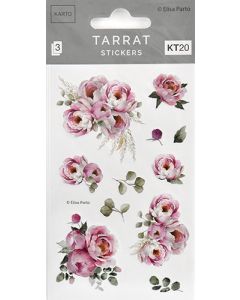 Tarra KT20 Elisa Parto pionit