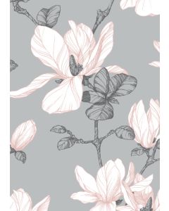 Postikortti Finlayson