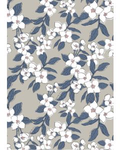 Postikortti Finlayson