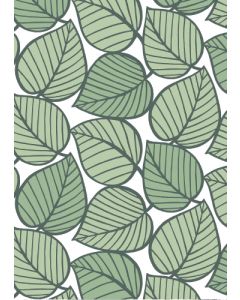 Postikortti Finlayson